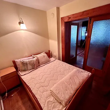 Luylyana Pensiune Ribarița