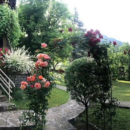 Luylyana Pensionat 3*